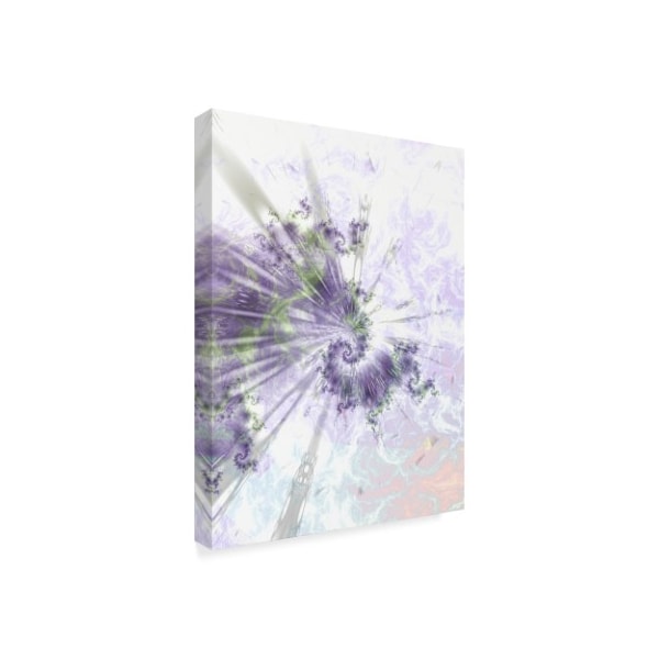 Fractalicious 'Alpha Purple Green' Canvas Art,18x24